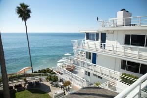 a white building with a palm tree and the ocean at Laguna Surf Lodge by SCP Hotels in Laguna Beach