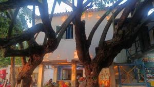 a tree in front of a house at Los Clemones in Rincón