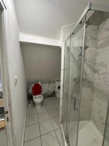 a bathroom with a toilet and a glass shower at Alsacian home in Eckbolsheim +24 photos