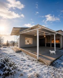 a cat standing on a deck in front of a house at Alta Vista in Villa Yacanto