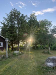 a sun shining through the trees in a yard at BAPA STAYs in Kristianstad