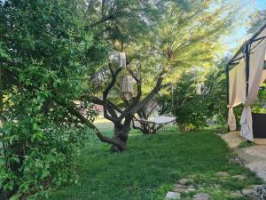a tree in the yard with a bench in the grass at Las Golondrinas de Henche in Henche