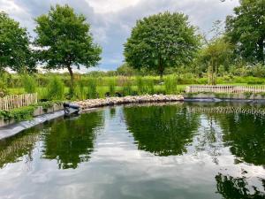 a pond in a garden with trees and grass at Ferienwohnung Marita 35681 in Uplengen