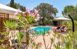 a garden with a swimming pool and pink flowers at Estrella - Son Jorbo in Porreres