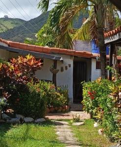 a house with a palm tree in front of it at Toucherit Standar in La Mira