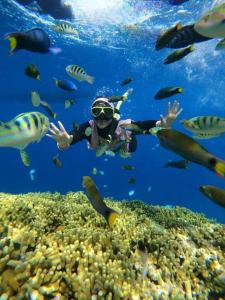 a person is swimming in the ocean with fish at Putu Guest House Pemuteran in Pemuteran