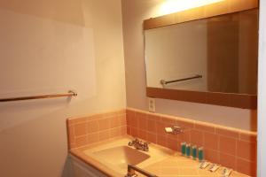 a bathroom with a sink and a mirror at Dodge Residence in Tucson