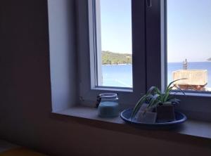 a window with a plate and a plant on a window sill at Casa del Mar Rooms in Lopud