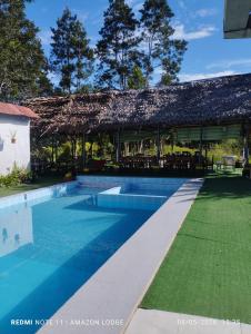 a swimming pool in front of a building with a thatch roof at Amazon Lodge Varillal in Iquitos