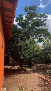 a tree in a yard next to a building at Hostel e Camping Terapia Roots in Santa Teresinha
