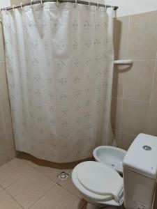 a bathroom with a toilet and a shower curtain at Hospedaje Don Antonio 1 in Tinogasta