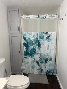 a bathroom with a shower curtain with a toilet at Cozy Creek Retreat in Waterford +12 photos