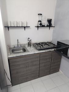 a kitchen with a sink and a stove at Departamento faja de oro in Salamanca