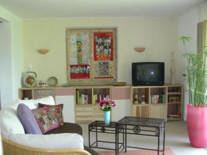 ein Wohnzimmer mit einem Sofa und einem TV in der Unterkunft Ferienwohnung Guder in Bayerisch Gmain