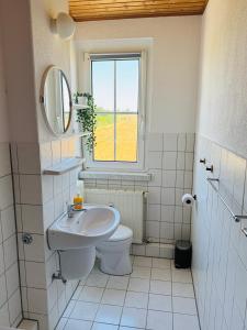 a bathroom with a sink and a toilet and a window at FeWo Einetal 1 im schönen Ostharz in Harzgerode