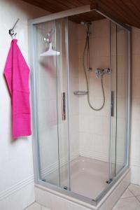 a shower with a pink towel hanging on a wall at Ferienwohnung Wiedenhofer in Regenstauf