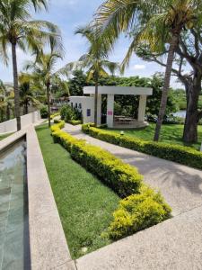 a garden with palm trees and a house at Escapada romántica- decoración sobre pedido in Nuevo Vallarta