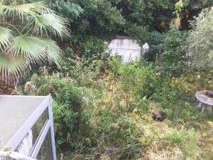 an overgrown yard with a bench and plants at Chez Lilly in Avignon