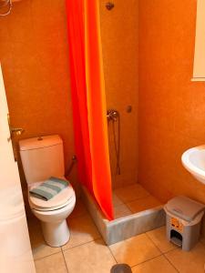 a bathroom with a shower with a toilet and a sink at M A Apartments in Chios