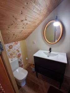 a bathroom with a sink and a toilet and a mirror at Passiflore in Saint-Racho