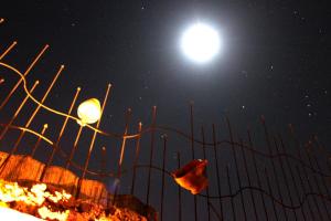 Foto dalla galleria di Riad Le Lieu a Tiznit