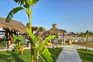 a resort with chairs and umbrellas on the beach at Perla Penthouse - Happy Rentals in Mullini i Danit