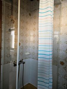 a bathroom with a shower with a tub at Pension Haus Donaublick in Deggendorf +8 photos