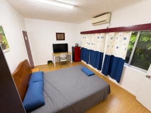 a bedroom with a bed with blue pillows and a television at Comfortable Ensuite Room in Suva CBD in Suva