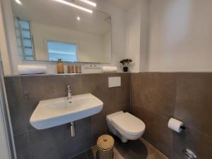a bathroom with a sink and a toilet and a mirror at Haus Eintracht Appartment 3 in Sankt Peter-Ording +6 photos