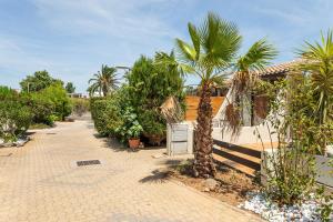 a palm tree sitting next to a building at Villa 52 Naturiste in Cap d'Agde