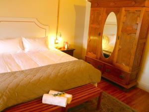 a bedroom with a bed and a large mirror at Maskam Manor in Vanrhynsdorp +7 photos