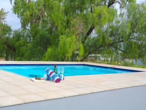 a swimming pool with a pool noodle next to a swimming pool at Maskam Manor in Vanrhynsdorp