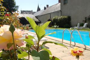 ein Pool neben einem Haus mit einer Blume in der Unterkunft Logis Hotel Restaurant Le Cheval Blanc in Bléré