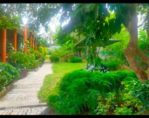 a garden with a path and a tree and bushes at Wildfarms resort in Masinagudi