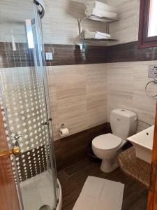 a bathroom with a shower and a toilet and a sink at Asteri Hotel in Livadi