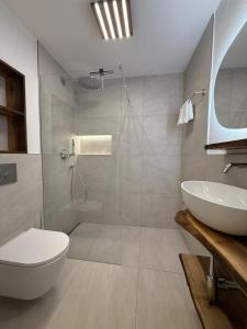 a bathroom with a shower and a toilet and a sink at Lorez 5A by Arosa Holiday in Arosa