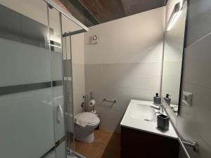 a bathroom with a toilet and a sink and a shower at Domus Olea BnB in Roccatederighi
