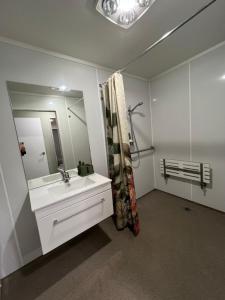 a bathroom with a sink and a mirror at 2 Bedroom Comfortable Guest Wing in Hamilton
