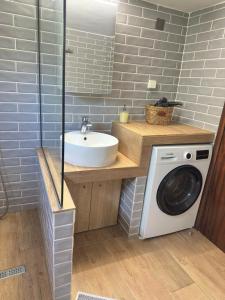 a bathroom with a sink and a washing machine at THEODORAS HOUSE in Iraklitsa +44 photos