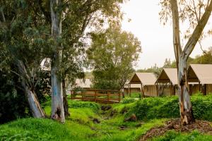 a park with trees and buildings in the background at Katzrin Village Glamping in Qasrîne +12 photos