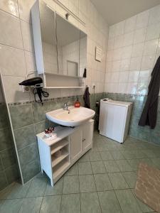 a bathroom with a sink and a mirror at ErzNest in Thum +21 photos