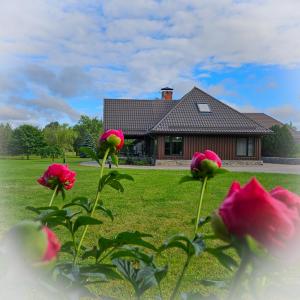a house with pink flowers in front of it at Jauki Lauki in Lejasciems