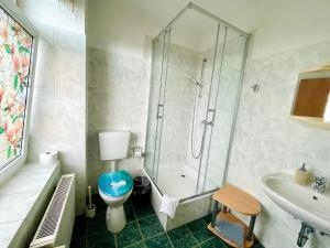 a bathroom with a shower and a toilet and a sink at Twin Studio in Boizenburg