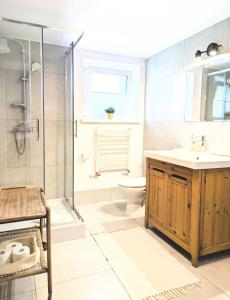 a bathroom with a shower and a sink and a toilet at SB Apartment with Sauna in Kołobrzeg +64 photos