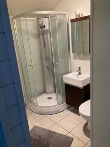 a bathroom with a shower and a toilet and a sink at Compact living Laxvik in a cottage in Halmstad
