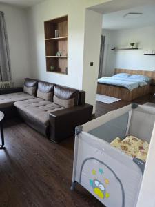 a living room with a couch and a bed at Pod hradem in Choustníkovo Hradiště