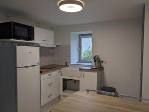 a kitchen with a table and a refrigerator and a window at Le Petit Nid de Martel in Martel +9 photos