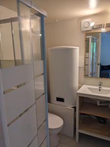 a bathroom with a toilet and a sink and a mirror at Le Petit Nid de Martel in Martel
