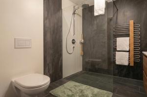 a bathroom with a shower with a toilet and a glass shower at Moderne Ferienwohnung im Bregenzerwald in Au im Bregenzerwald