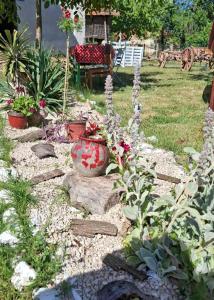 a garden with flowers and plants in a yard at Dragačevska kuća na bregu- Heritage House in Viča +11 photos